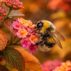 arılar neden önemlidir